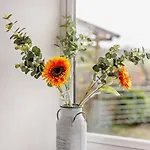 2 Bed In Ripon Oc-94000 Feriehus *
