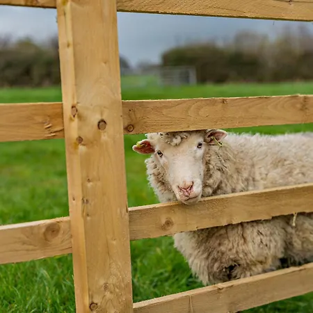 Prázdninový dům 2 Bed In Ripon 94000 *
