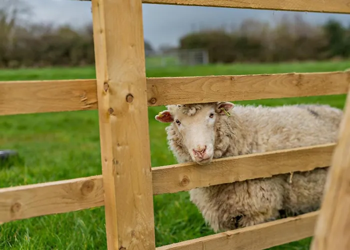 2 Bed In Ripon Oc-94000 *